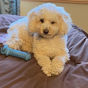 Meet your Posher, Sara